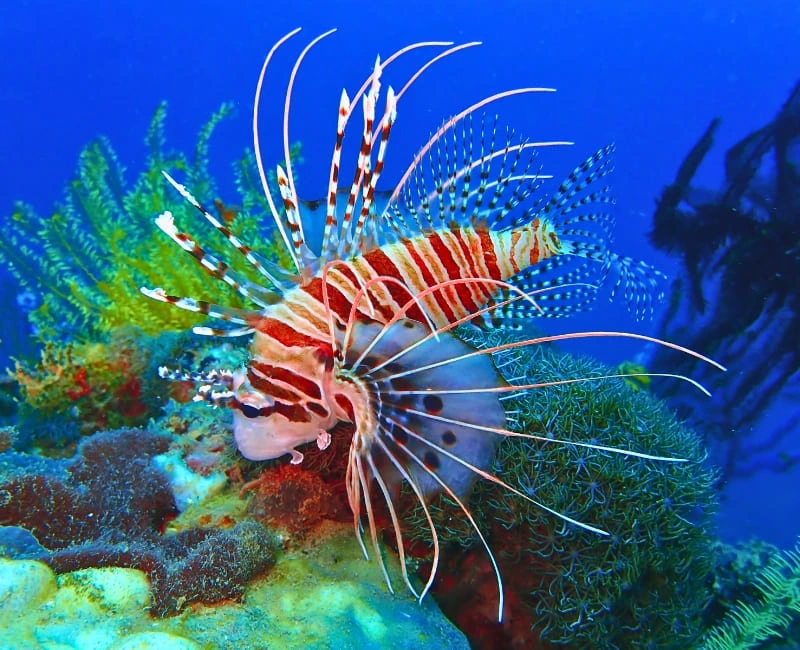 Family Fun in the Sun