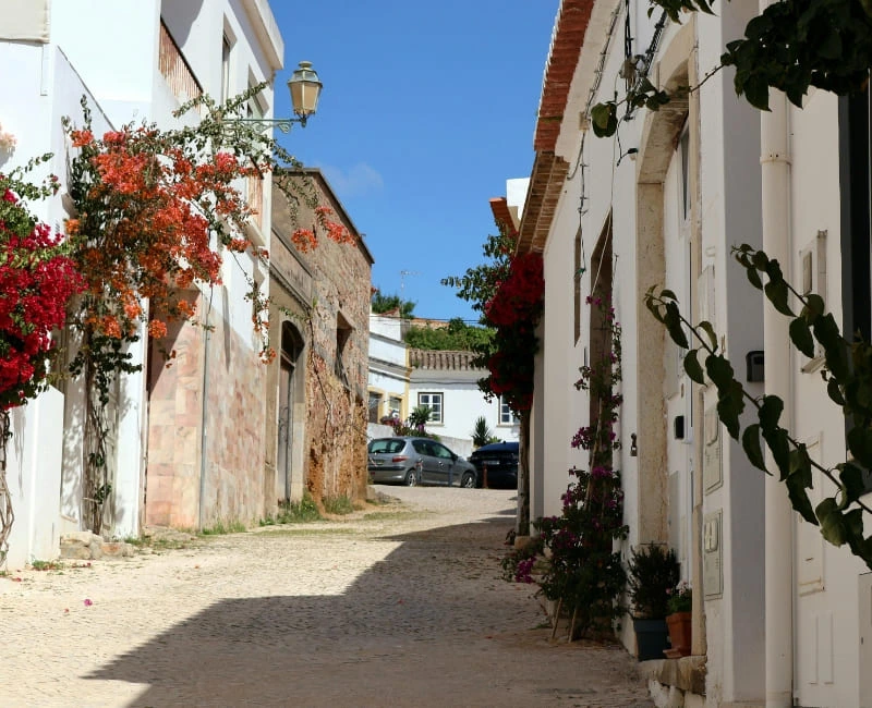 Exploring Local Culture