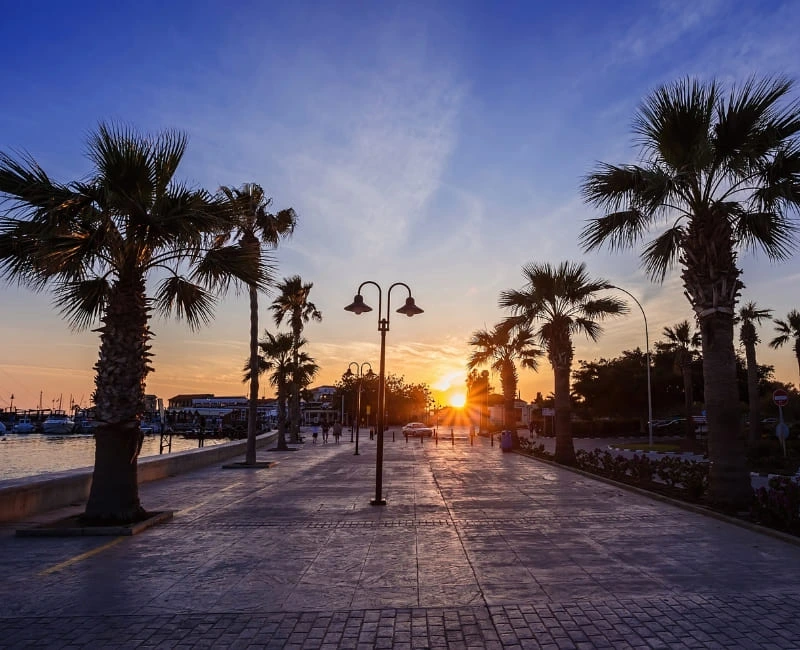 Nightlife & Entertainment