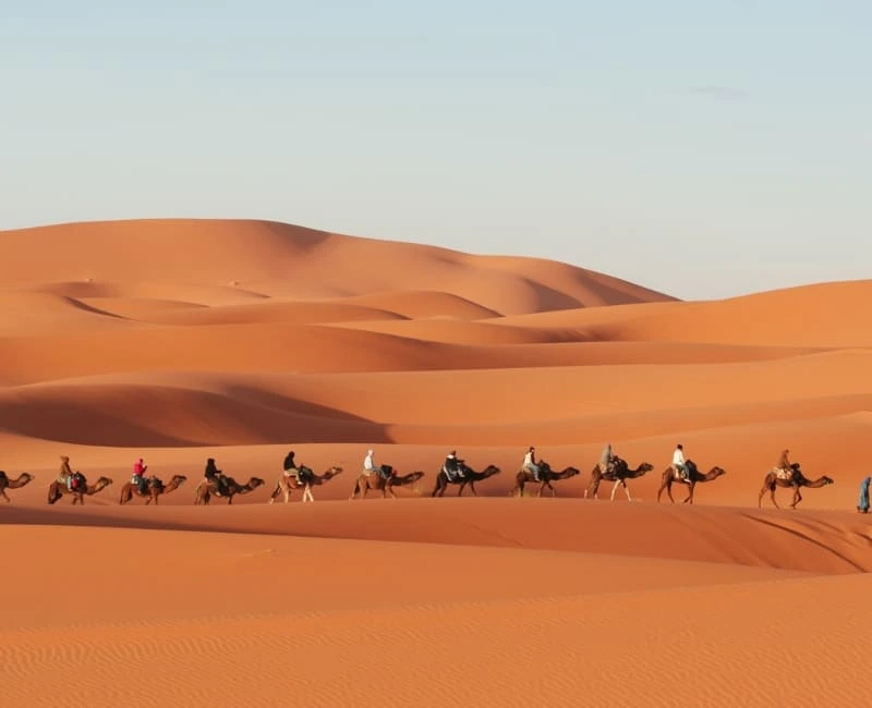 Sahara Desert Escapades