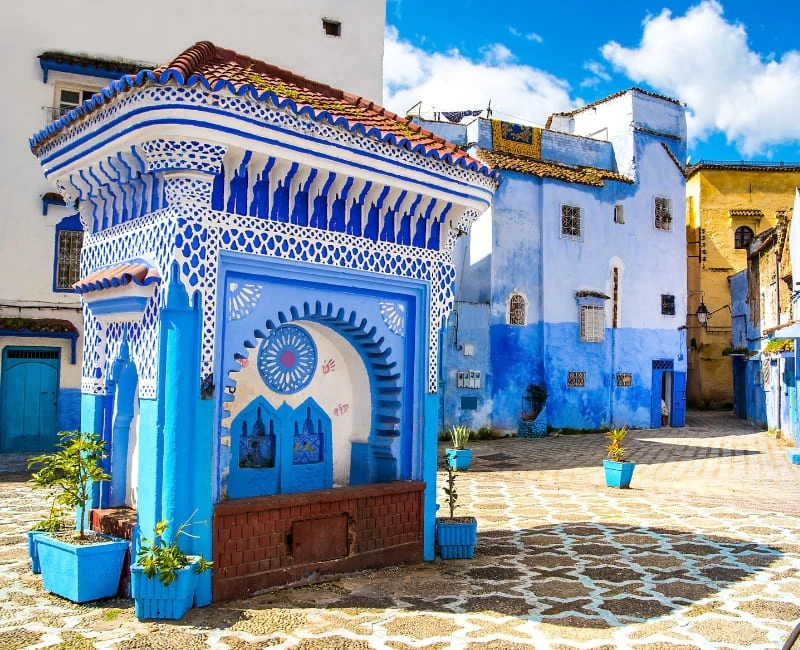 Festivals & Traditions