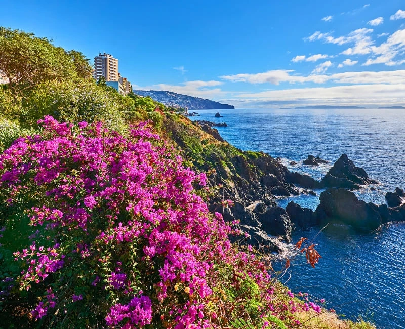 Madeira – The Floating Garden