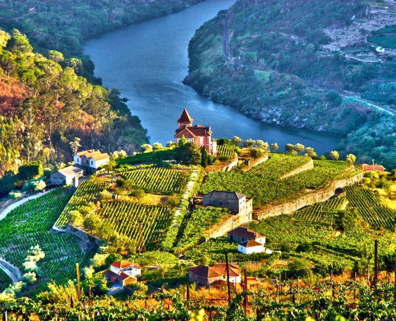 Douro Valley – Portugal’s Wine Soul