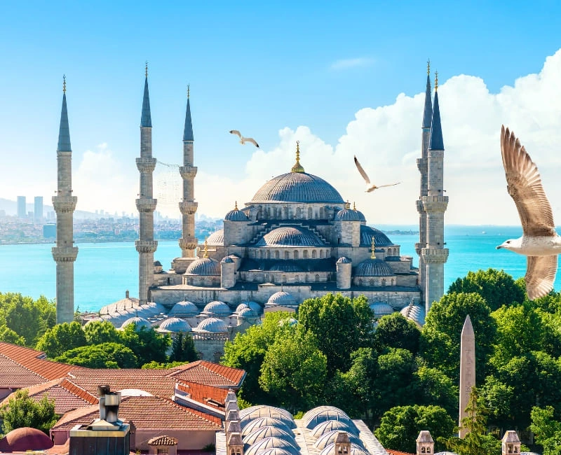 Festivals and Events in Turkey