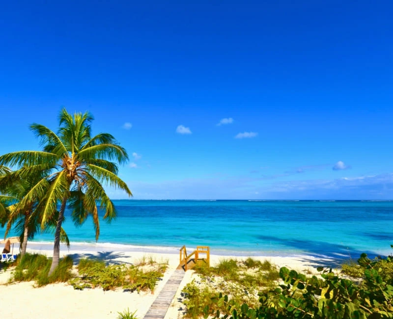 Sun, Sand & Serenity