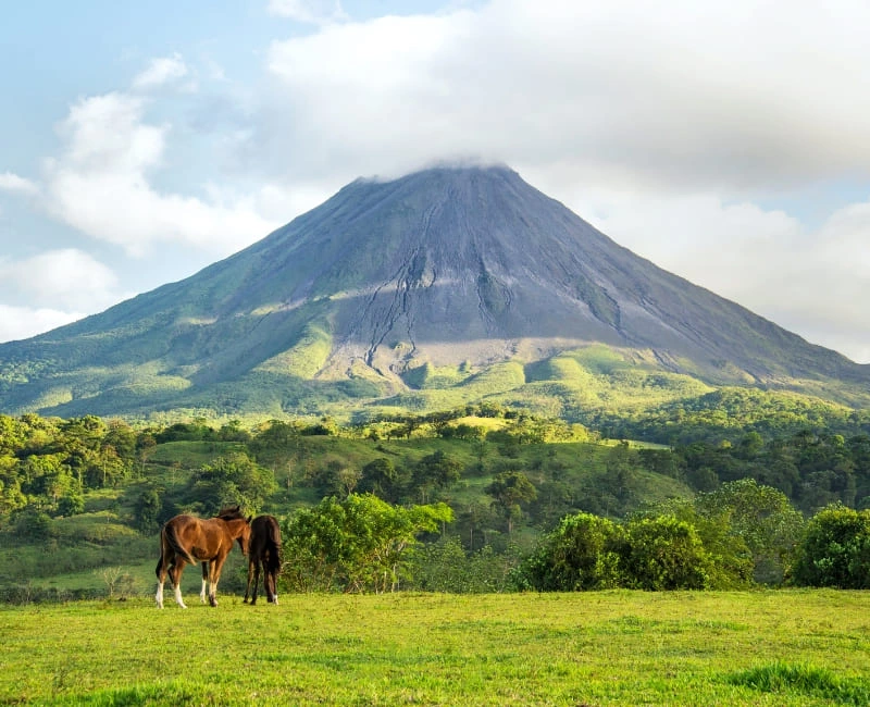 Volcano Trails and Cloud Forests