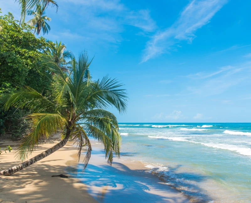 Best Beaches in Costa Rica