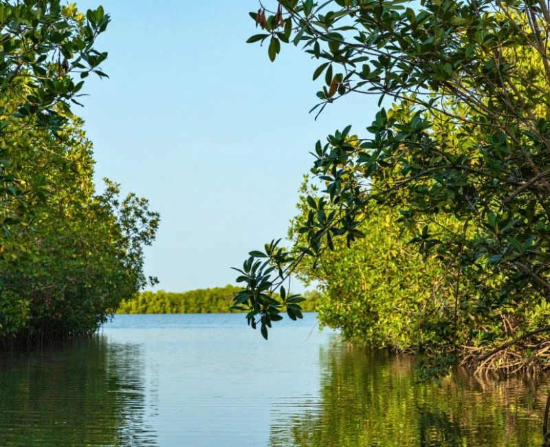 Nature & Wildlife Tours