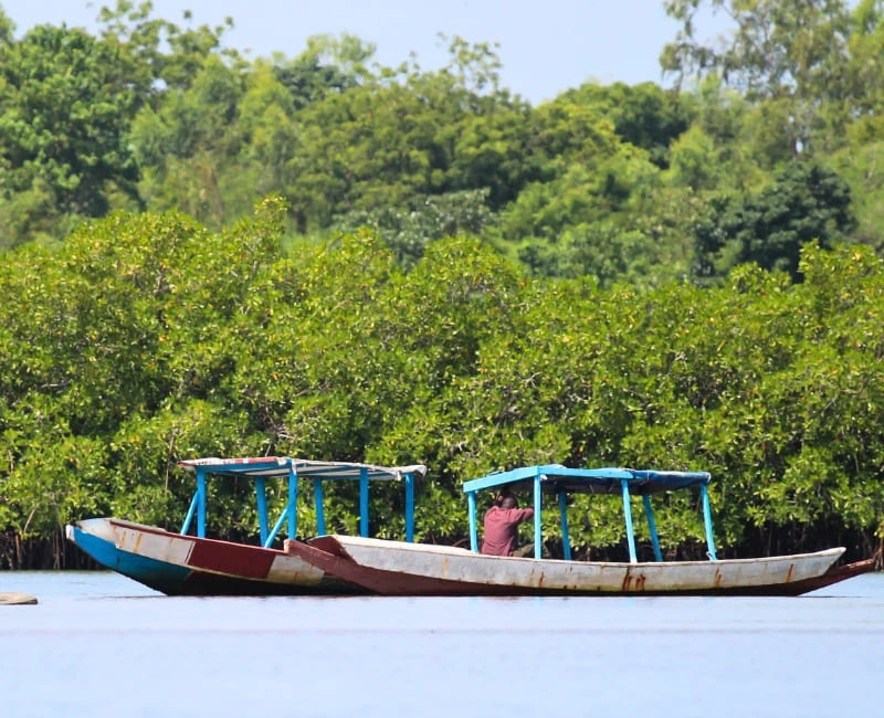River Gambia Cruises