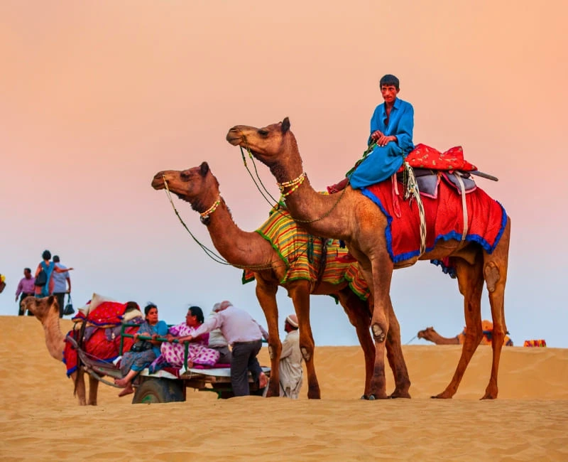 Family Fun in the Desert