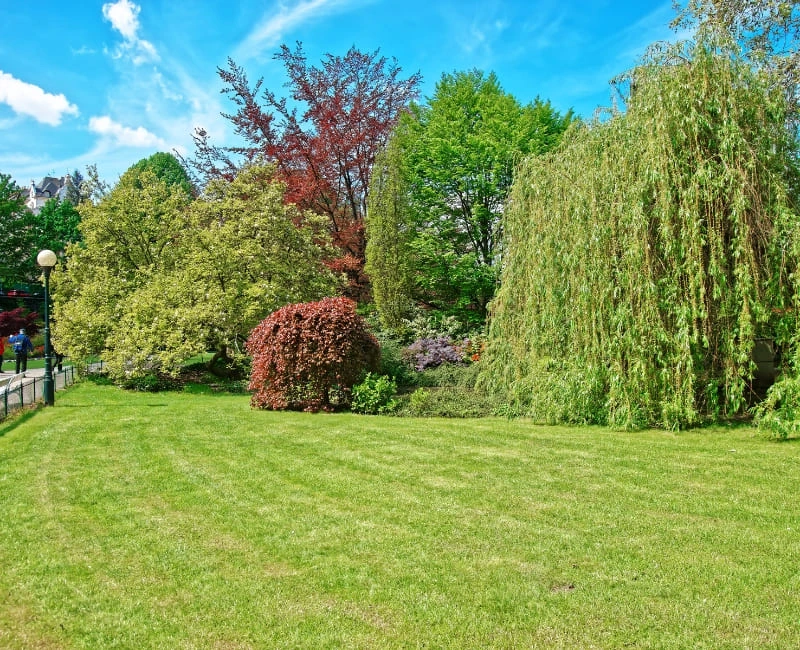 Nature & Outdoor Escapes