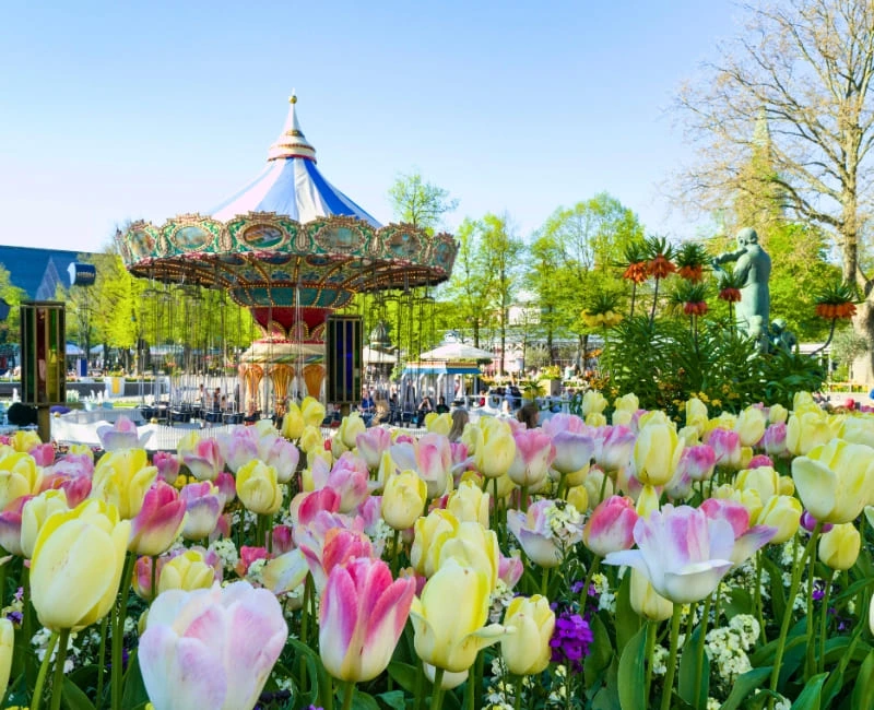 Family Fun in the City