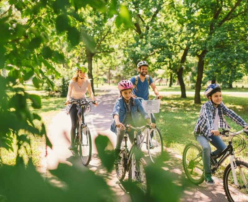 Eco-Friendly Travel in Denmark