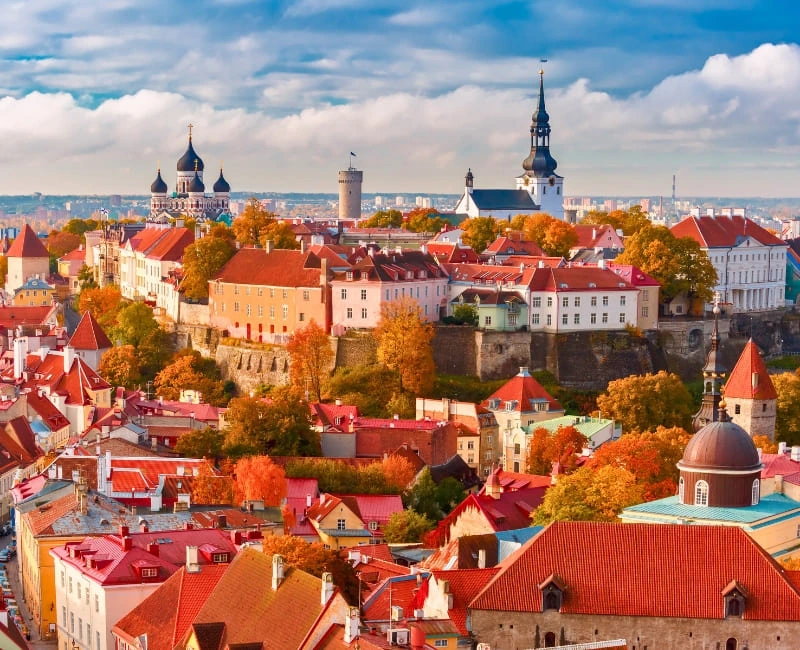 Tallinn Old Town Highlights