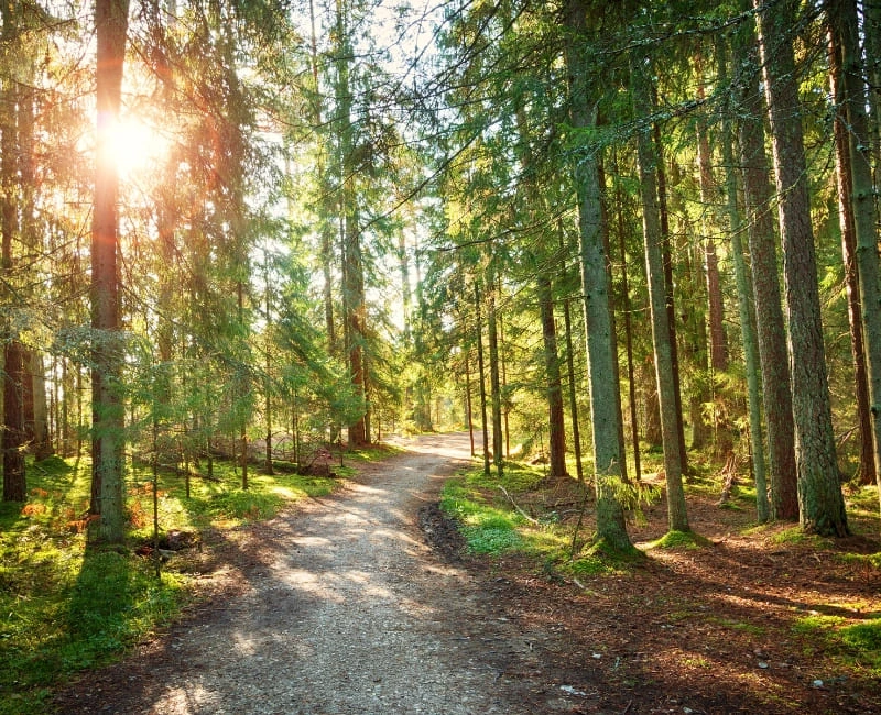 National Parks and Wild Landscapes