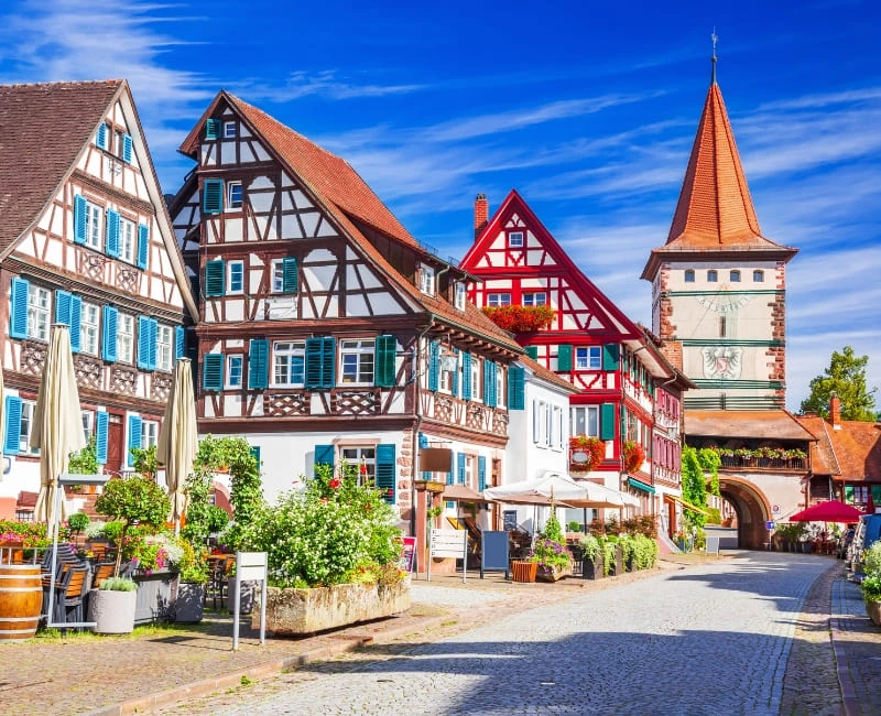 The Black Forest Experience