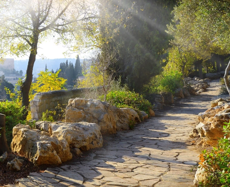 Galilee and the North