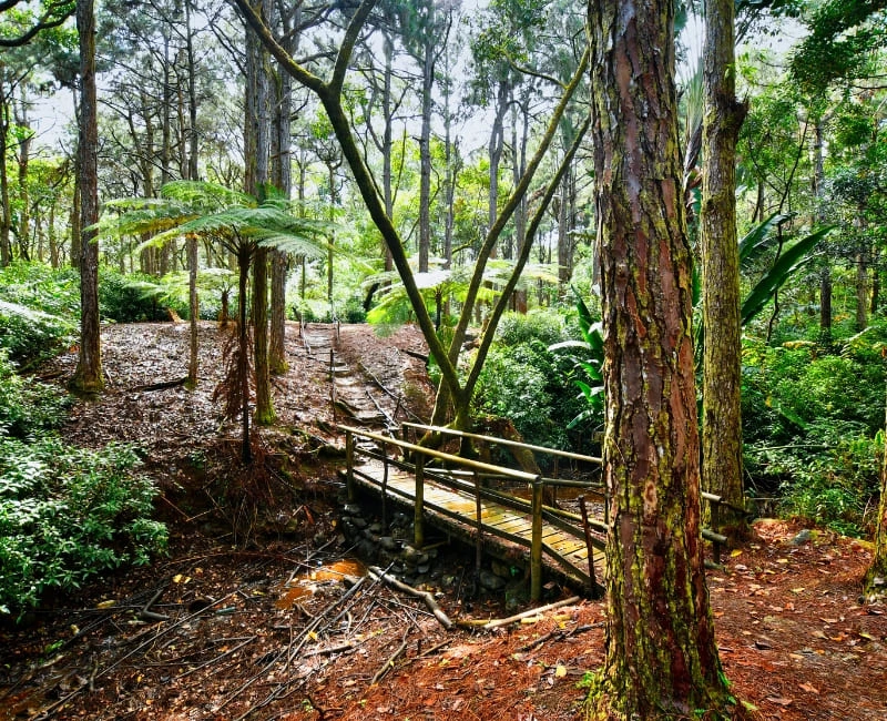 Nature Trails and Wildlife