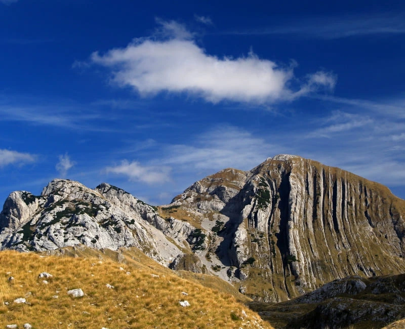 The Wilderness of Durmitor