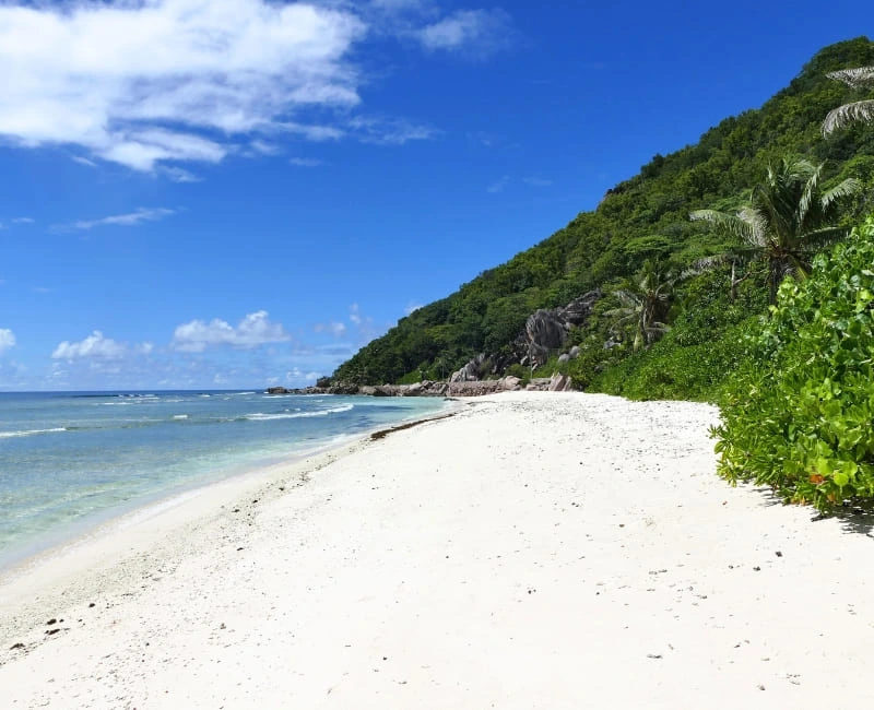 Top Beaches in Seychelles