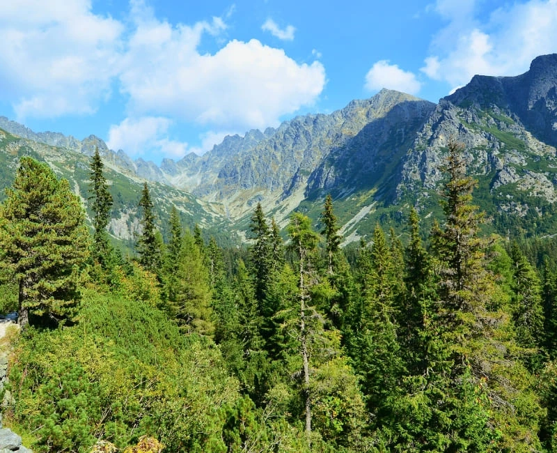 The High Tatras