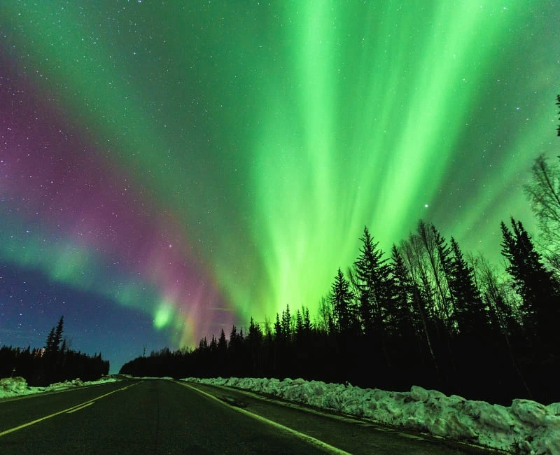 Northern Lights & Arctic Adventures