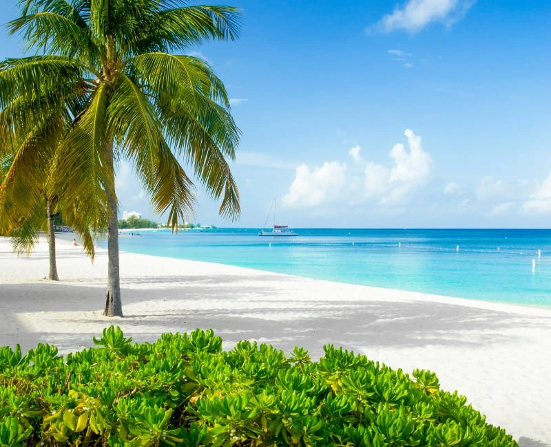 Seven Mile Beach Bliss