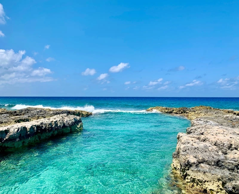 Kayaking & Bioluminescent Bay