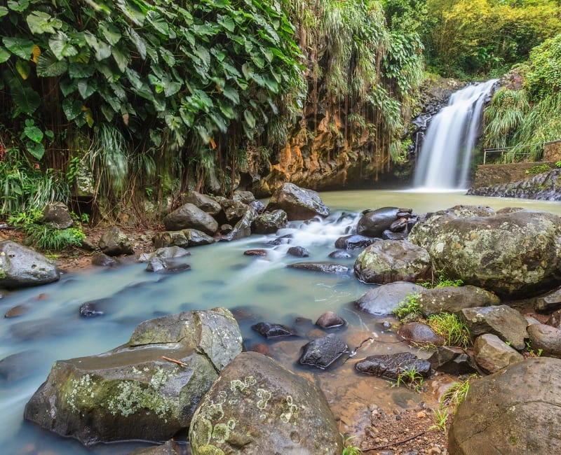 Hiking Grand Etang & Rainforest Trails
