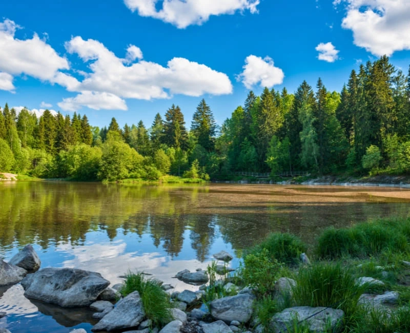 Exploring Finland’s Lakes and Forests