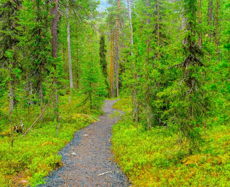 Hiking in National Parks and Wilderness Areas