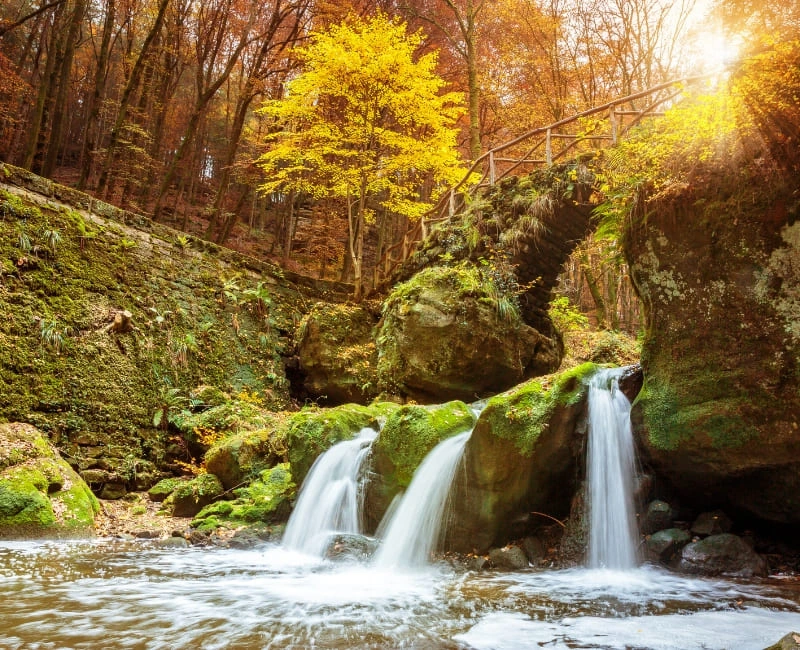 Hiking the Mullerthal Trail: Luxembourg’s “Little Switzerland”