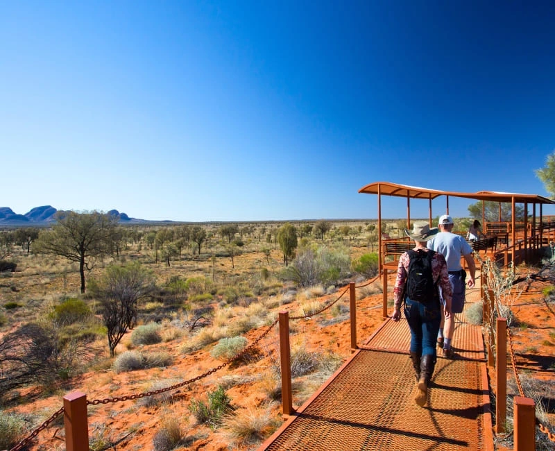Exploring the Outback
