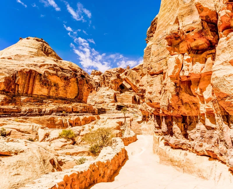 Petra: The Rose-Red City