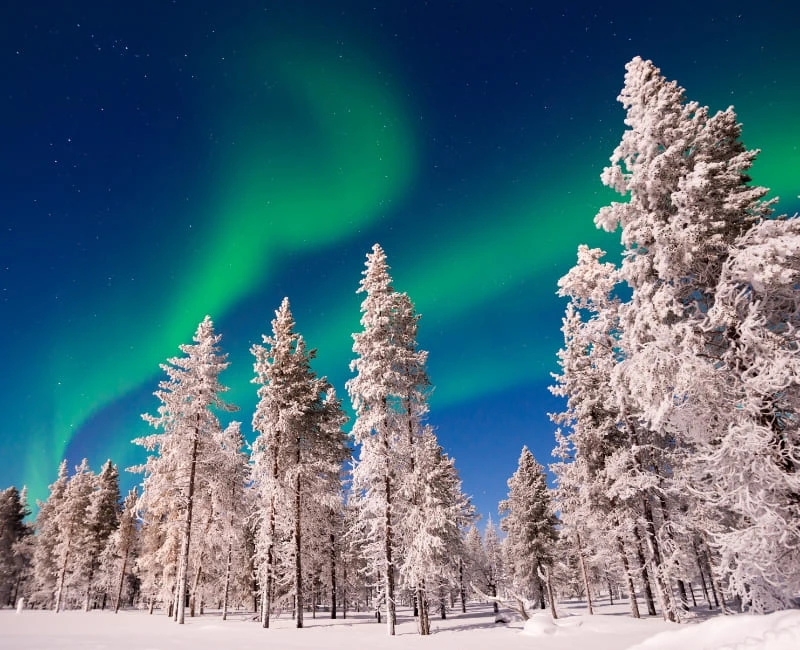 Northern Lights and Arctic Adventures in Lapland