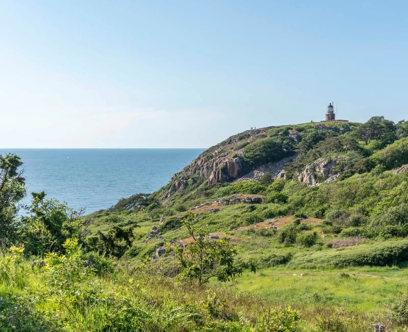 Outdoor Adventures: Hiking and National Parks