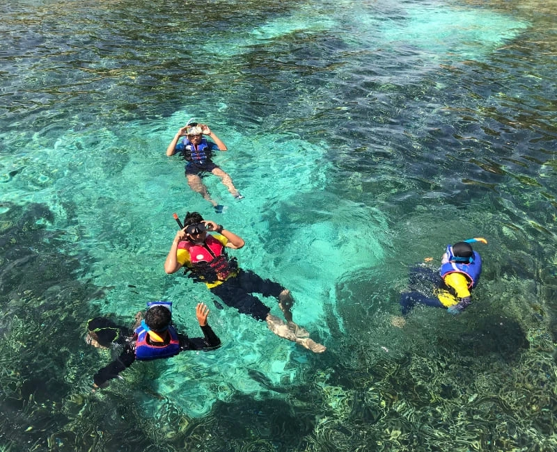 Snorkeling & Diving Hotspots