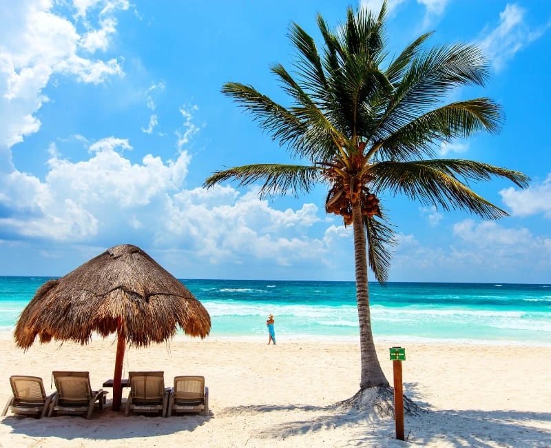 Coastal Paradises: Pacific Shores & Caribbean Gems