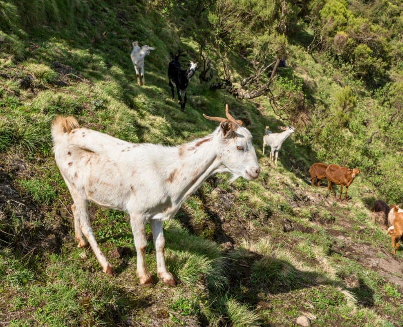 Mountain & Desert Adventures