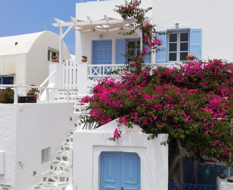 Wellness & Relaxation