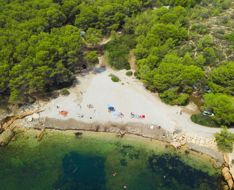 Nightlife and Entertainment Spots