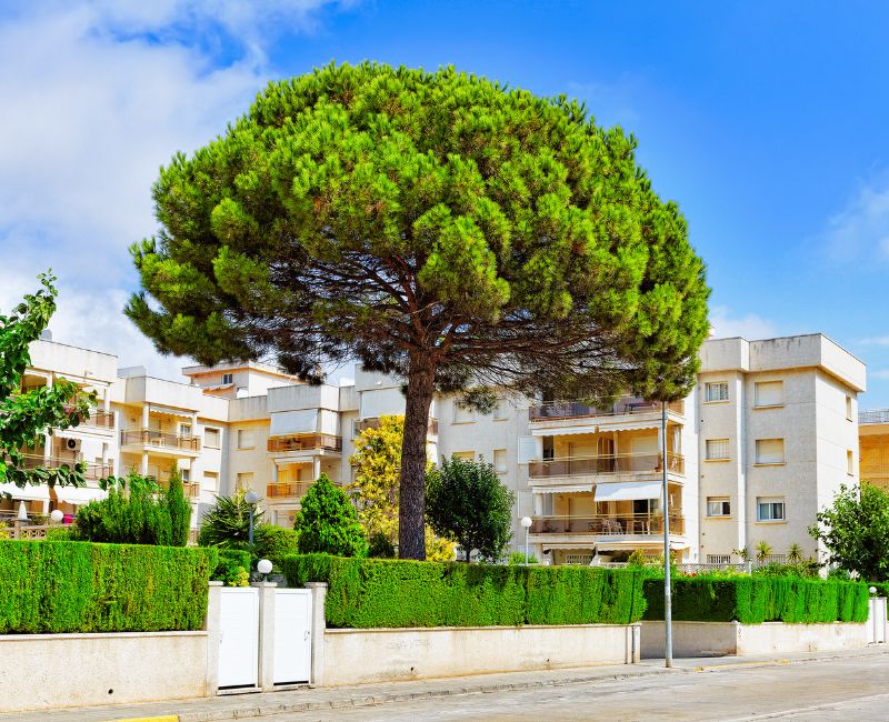 Festivals and Traditions of Costa Dorada