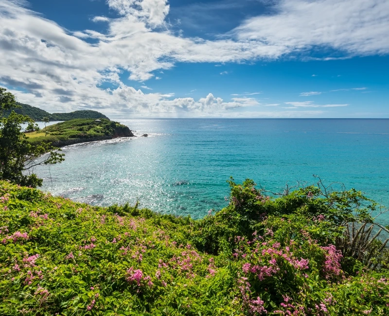 Adventures in Nature