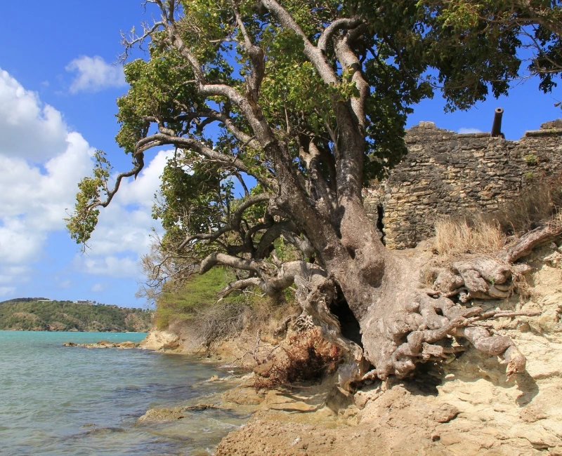 Family Fun in the Sun