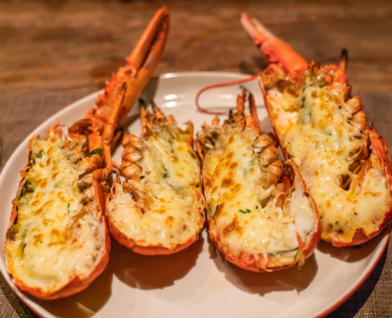 Cuban Culinary Journeys