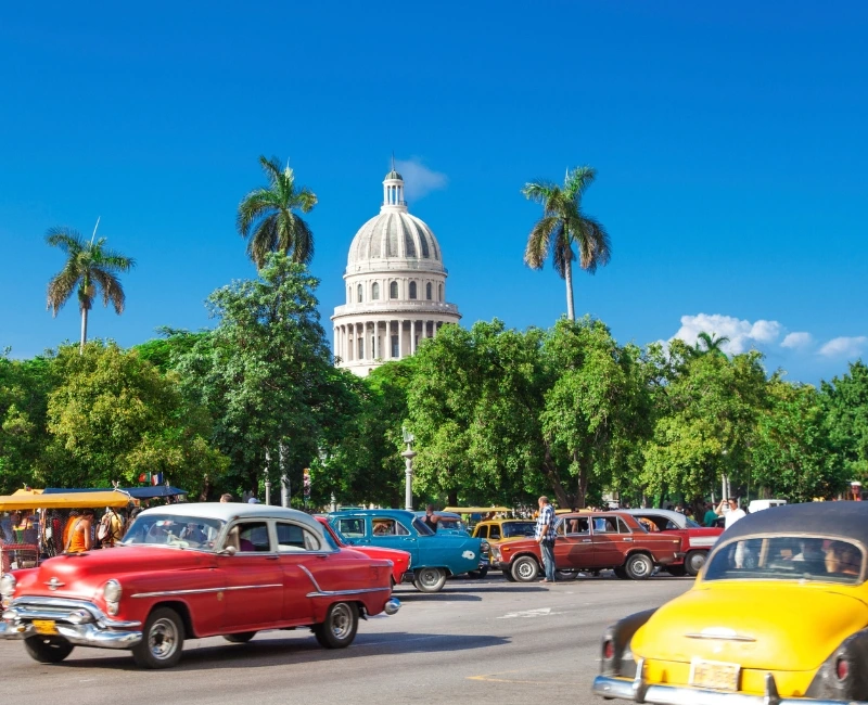 Carnival & Festivals