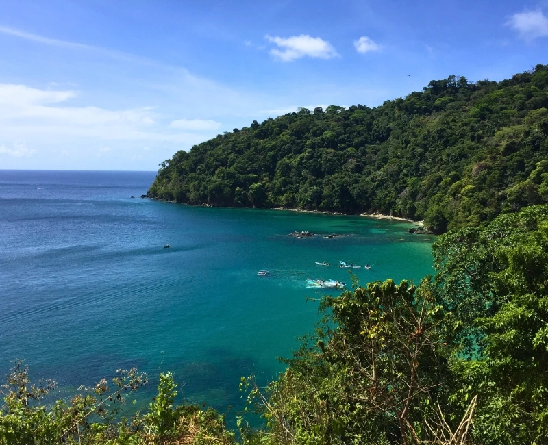 Rainforest Adventures