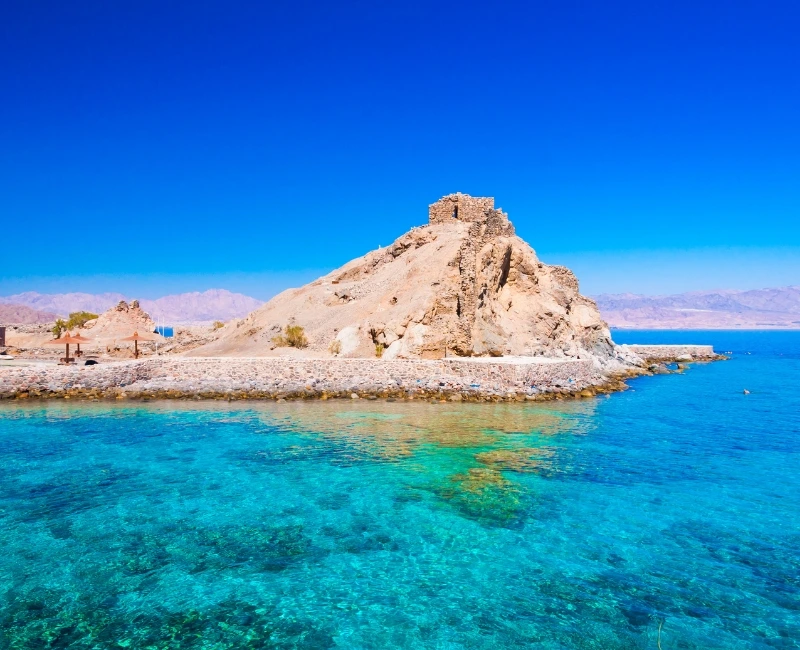 Dive into the Red Sea