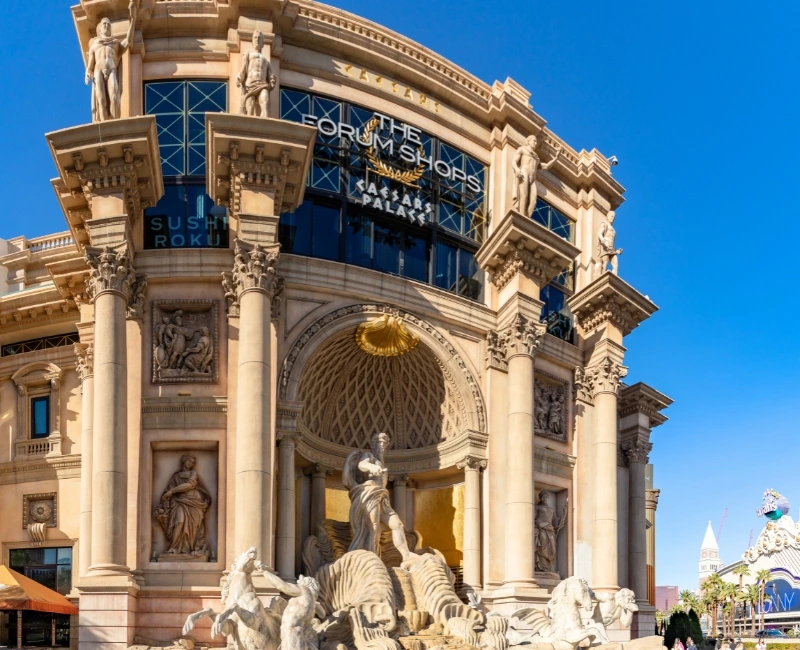 Dining & Food Experiences