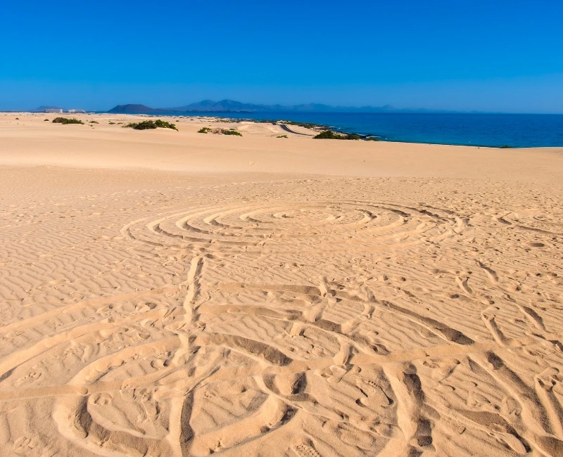 Corralejo Adventures